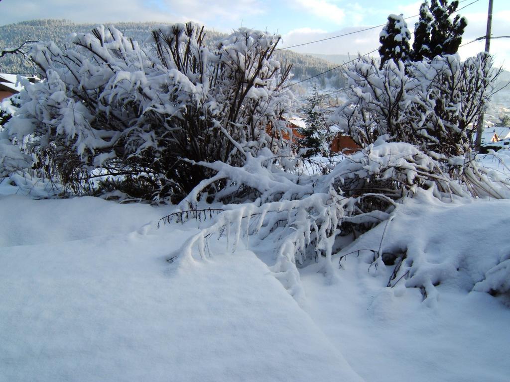 B&B Chalet L'Epinette Gérardmer Екстериор снимка