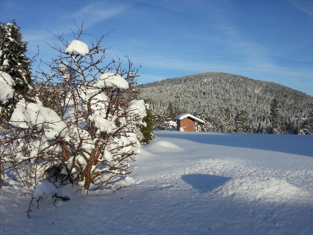 B&B Chalet L'Epinette Gérardmer Екстериор снимка