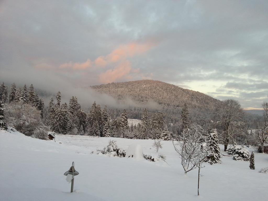 B&B Chalet L'Epinette Gérardmer Екстериор снимка