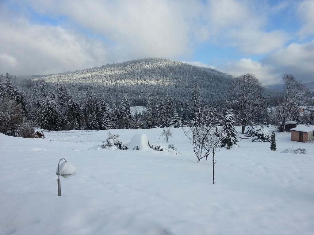 B&B Chalet L'Epinette Gérardmer Екстериор снимка