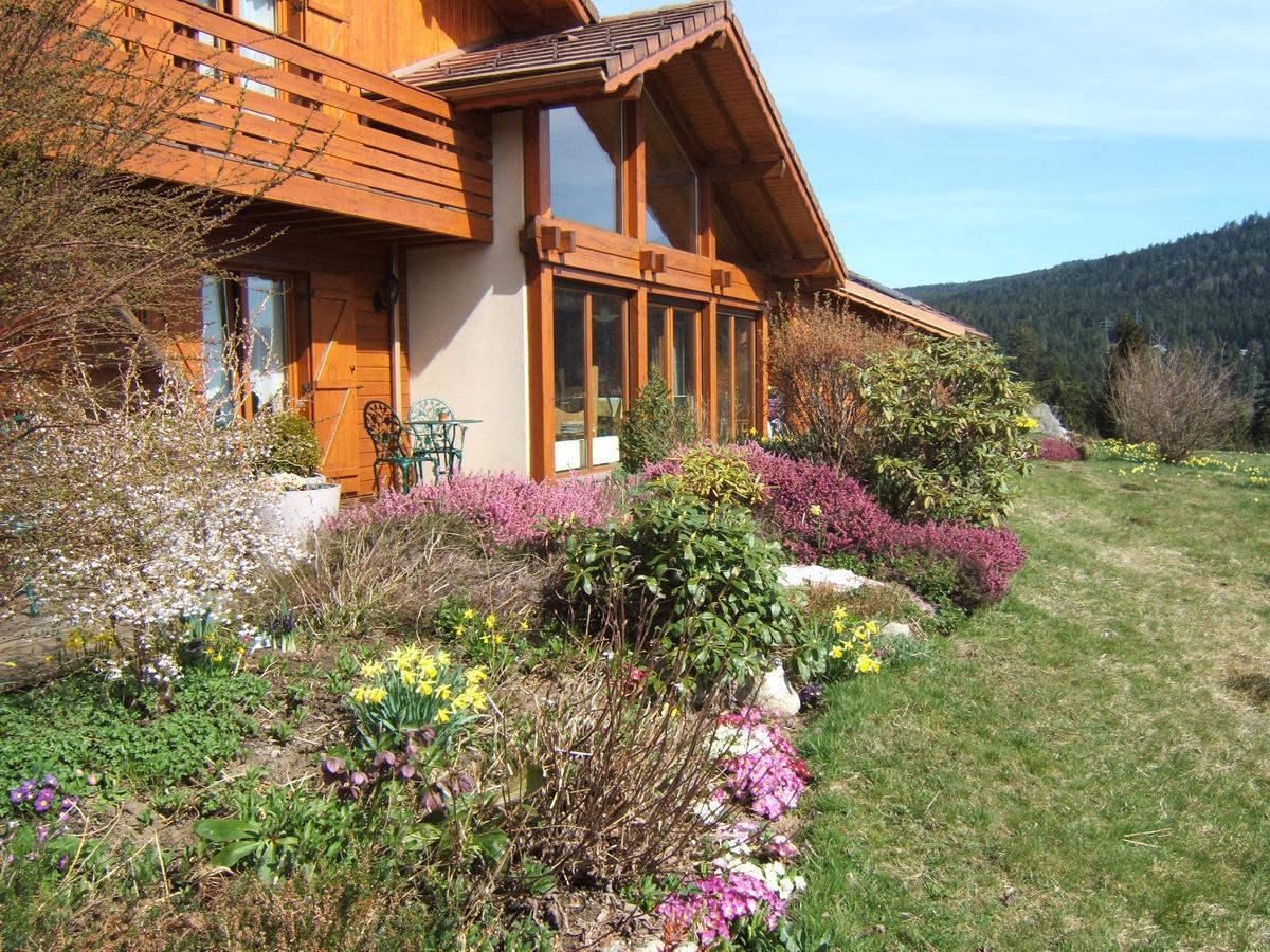B&B Chalet L'Epinette Gérardmer Екстериор снимка